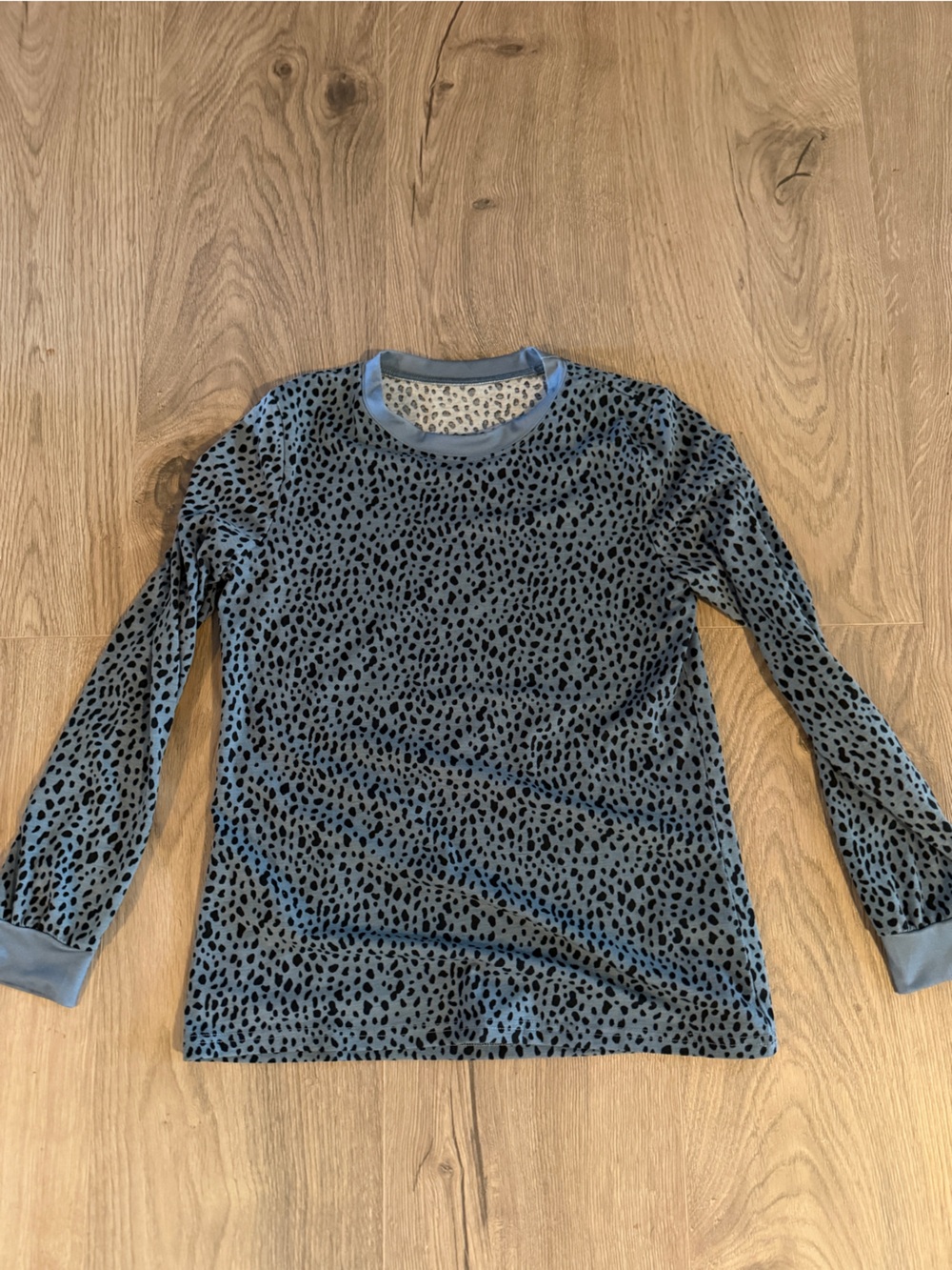 Womens Long Sleeve Blue Leopard Print Top